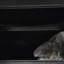 1.3 Cub Small Safes for Home Use, Security Digital Fire Safe Money Safe Box with Programmable Keypad, Spare Keys and Removable Shelf, Anti-Theft Water and Fireproof Safe for Home Documents Valuables