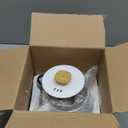 TOPWIT Electric Kettle, 1.0L Electric Tea Kettle with Removable Stainless Steel Infuser, BPA-Free Electric Glass Kettle with Window, Double Wall Water Warmer, Gooseneck, Auto-shut Off, White