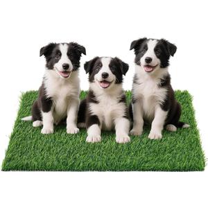 Artificial Grass Pad for Dogs Potty: Fake Grass for Dogs Puppy Potty Training to Pee and Poop on Balcony, Backyard, Patio, Apartment - Protect Floor and Furnitures, 2X Faster Drainage, Easy to Clean (XL-39"X24.4")
