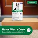Advantage Topical Cat Flea Treatment and Prevention for Large Cats Over 9 lbs. | Apply Flea Drops Monthly | 2 Treatments