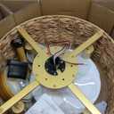 Boho Fandelier Ceiling Fans with Lights, Rattan Chandelier Fan Gold Caged Ceiling Fan with Light Remote, Flush Mount Chandelier Ceiling Fan with 6 Speeds Fandelier for Bedroom, Living Room,Kitchen