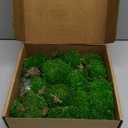 1.5 Sq. Ft. Preserved Moss Pole Decorative Moss for Crafts, Art, Wall Decor, Yellow Green Moss