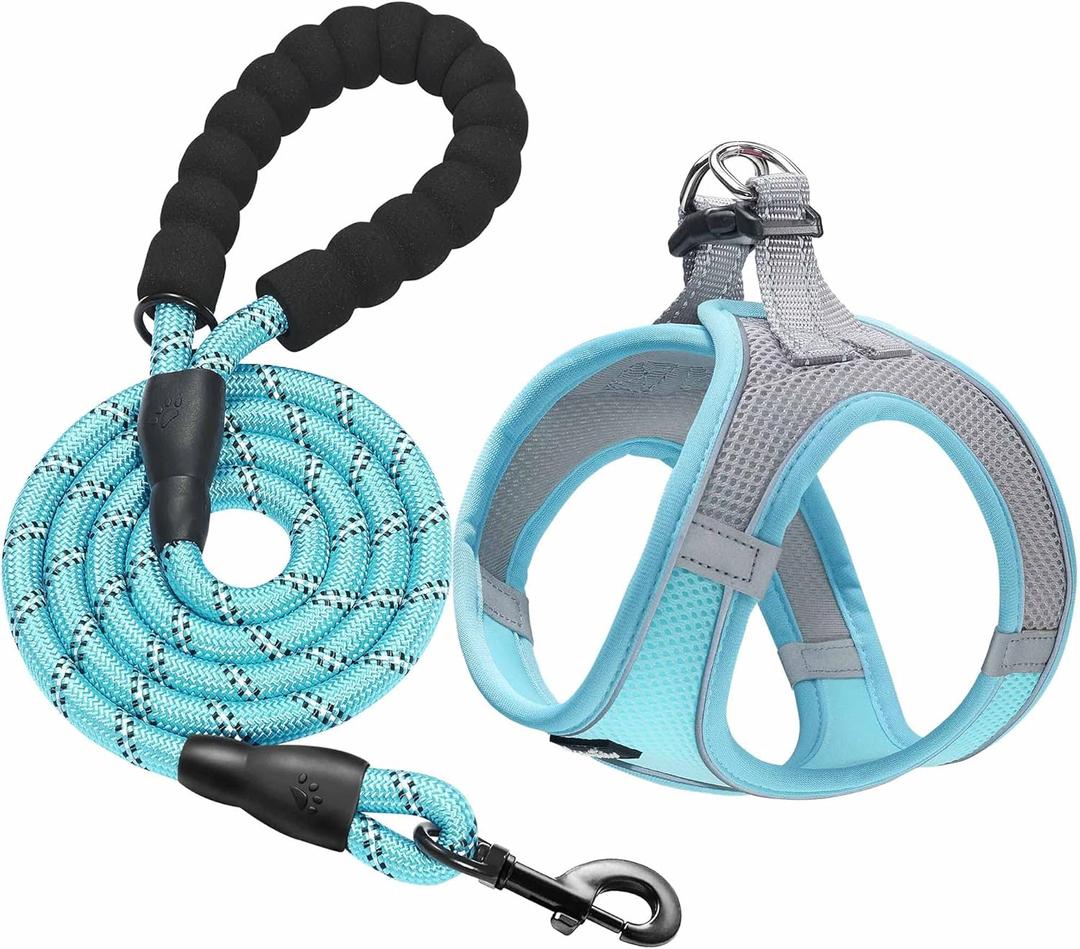 haapaw Dog Harness with Leash Set, No Pull Adjustable Reflective Step-in Puppy Harness with Thickened Padded Vest for Extra-Small/Small Medium Dogs (Grey / Blue)
