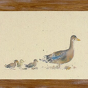 Duck Family Wall Art, 1 ct -Kroger 19"×14"
