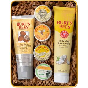 Burt's Bees Gifts Ideas  Classics Set, 6 Products in Giftable Tin – Cuticle Cream, Hand Salve, Lip Balm, ResQ Ointment, Hand Repair and Foot Cream