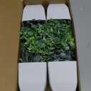 Der Rose 4 Pack Fake Plants Mini Artificial Greenery Potted Plants for Home Decor Indoor Office Table Room Farmhouse Bathroom Decor (Grey)