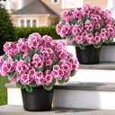 2 Pack Artificial Geranium Flowers Topitary Trees for Outdoors, UV Resistant Geraniums Potted Bushes Look Real Silk Faux Plants for Front Door Garden Porch Planter Farmhouse Home Decor (Pink)