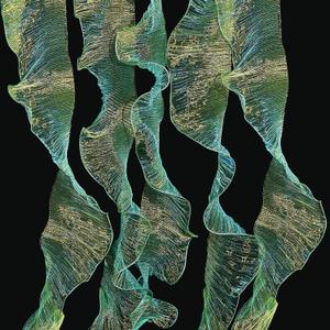 Newwiee 15 Yard Iridescent Ribbon Ruffle Trim Pleated Chiffon Organza Fabric Chiffon Ribbon Lace Fabric Trim for Wedding Sewing Dress Lanter Skirt Bag Decor Jellyfish Hat Costume Craft(Blue Yellow)