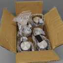 Glass Water Bottles 6 Pack With Sleeves and Stainless Steel Lids - 18oz Size - Leak Proof Caps, Reusable and Perfect For Travel and Storing Beverages Juice, Smoothies, Kombucha, Kefir, Tea