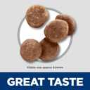 Hill's Science Diet Kitten Dry Cat Food, Chicken, 3.5 lb. Bag (3.5 Pound (Pack of 1))