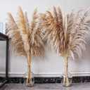 46" inch 10 Stems Natural Pampas Grass Decor Tall, Pompas Grass, Tall Pampas Grass for Weddingm, Farmhouse, Boho Home Decor (Brown)
