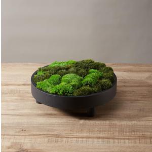 2 Color Mix Pack Preserved Pole Moss Pillow Bun Cushion Natural Decorative Green DIY Kit Art Wall Decor Florist Decor Easter Table Decor Wedding(1.5 sq.ft, Green-A,Green-B)
