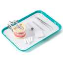 JMU 20Pcs Dental Trays Bulk Autoclavable Plastic Procedure Flat Trays, 13.25" X 9.75" Set Up Tray, Size B (Teal)
