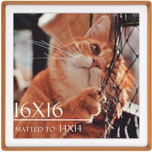 16x16 Solid Teak Picture Frame, Matted for 14x14 Photos