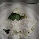 6PCS Premium White Hydrangea Artificial Flowers Bouquets, Ivory Silk Hydrangea Flowers Heads with Stems, Fake Hydrangeas Flowers Arrangement, Faux Hydrangea Decor for Home Wedding Party Baby Shower