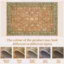 Tangsoo Washable 8x10 Large Terracotta Area Rug for Living Room Non Slip