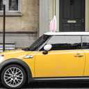 Didiseaon Easter Bunny Ears Nose Car Decor: Rabbit Ears Car Antenna Topper, Outdoor Easter Decorations for Auto Vehicles Christmas Party Exterior Accessories