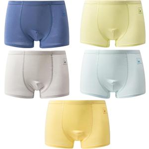 Seamless Tagless Toddler Boxer Briefs for Boys  Cotton Soft Comfortable Kids Underpants, Ages 3-24 Years (Pack of 5) (11-12, Happybear) Seamless Tagless Toddler Boxer Briefs for Boys  Cotton Soft Comfortable Kids Underpants, Ages 3-24 Years (Pack of 5) (11-12, Happybear)