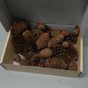 40 PCS Rustic Pine Cone Decorations - Large, Medium and Mini Sizes for Table, Tree and Home Decor