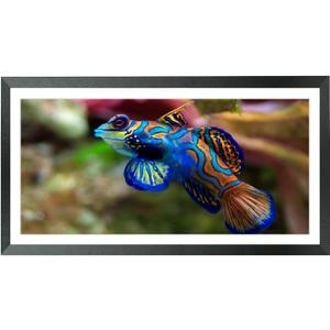 Mxtallup 10x22 Picture Frames Solid wood, Display Pictures 8x20 Inch With Mat or 10x22 Inch Without Mat, Poster Frames 8x20 in Photo Frames Wood Black (T22B1022W820)