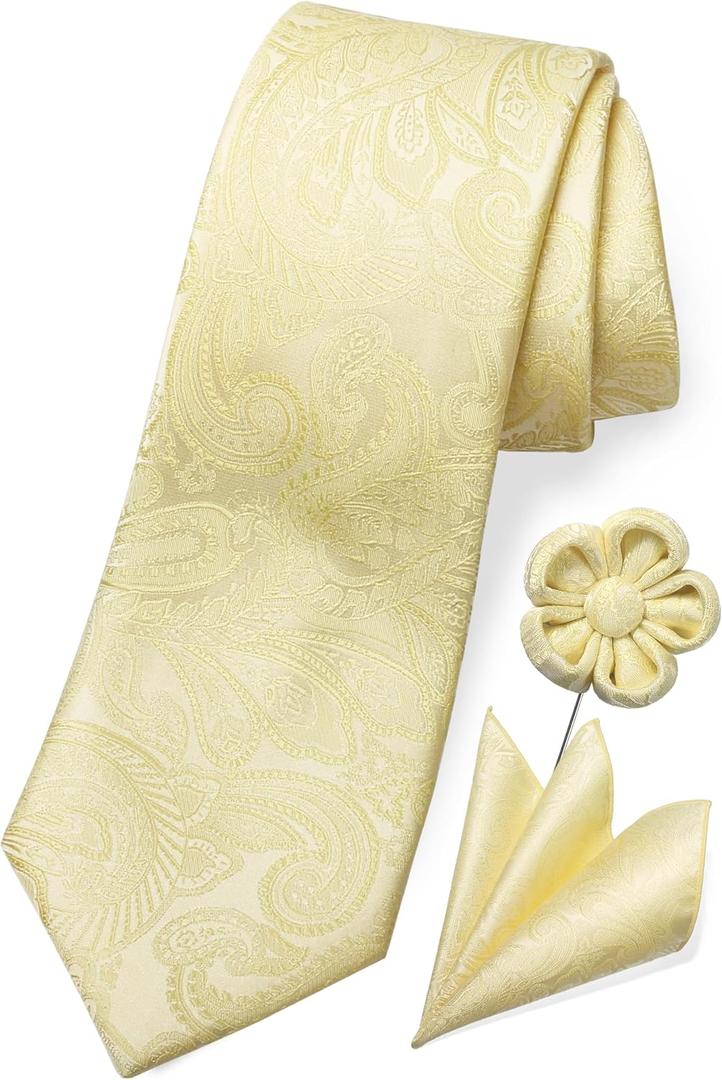 TaecMin Tie Set Ties for Men Paisley Neckties and Pocket Squares Set with Flower Lapel Pins for Weddings