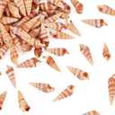 Craftdady 100pcs Natural Conch Shell Small Beach Sea Shells for Fish Tanks Vase Filler DIY Craft Home Decor Ocean Themed Party 27-29 mm