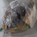 TESUMI 2" Inch Stem Leveling Casters Wheel with Ratchet Handle, 1/2 Inch and M12 Stem Size, Height Adjustable Heavy Duty Casters Set of 4 Total Load 2200 Lbs, Workbench Retractable Caster, T60