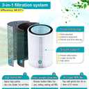 Upgrade HP202 HP201 Replacement Filter(Silent and Efficient) Compatible with Shark HP200,HP300 Series HP201 HP202 HP232 HP301 HP302 UA205 HP302 HC501 HC502 AP1000 Air MAX,(2PACK)