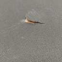 35 x 18 inches High-End Light Luxury Leather Rectangle Oversized Service Tray for Ottoman Tray, Coffee, Food, Family Dinner, Picnic, Party Essentials (Black, 35 x 18 inch)