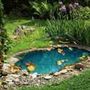 Pond Cover Net 10.5x10.5FT Pond Dome with PVC Support rods Leaf Net and Ground Studs for Pond and Garden