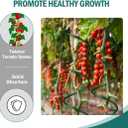 58" Green Plant Supports Spiral Tomato Cages, 10 Pack Metal Twisted Tomato Stakes Climbing Plant Stake Tower Outdoor Indoor