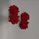 Bememo 2 Pack Women Rose Flower Hair Clip Rose Side Combs Flamenco Flowers Day of The Dead Costumes Mexican Hair Accessories for Wedding Party Decor Mother's Day Gift for Women Mom Grandma(Red)