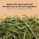 Kaytee Timothy Complete Guinea Pig Food, Made with Timothy Hay, High in Fiber, Supports Dental Health and Digestion, Long-lasting Vitamin C, 5 pounds