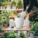 8 Inch Ceramic Planter Pot Round Plant Pot with Drainage Hole and Saucer Modern Flower Pot for Indoor Outdoor Plants White