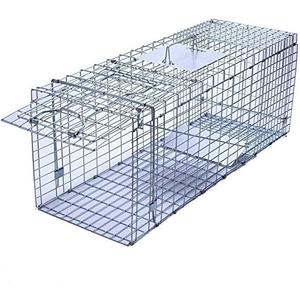 Faicuk Large Collapsible Humane Live Animal Cage Trap for Raccoon, Opossum, Stray Cat, Rabbit, Groundhog and Armadillo 32 x 11 x 13 Inch