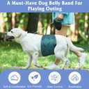 5 Pack Dog Diapers Male, Premium Belly Bands for Male Dogs, High Absorbing Male Dog Pee Wraps for Doggie in Incontinence or Excitable Urination and Training, M