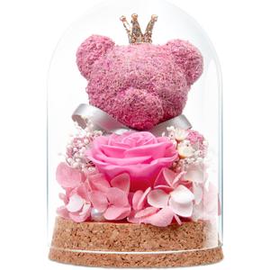 Preserved Rose Flowers Gifts for Her, Real Forever Rose in Glass Dome with Adorable Bear for Girlfriend,Mom,Wife,Grandma on Birthday Anniversary Valentine's Day (Pink)