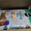 Miracle-Gro Indoor Potting Mix, Blended for a Variety of Houseplants, Feeds for up to 6 Months, 16 qt., 2-Pack