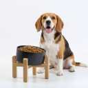 Petygooing Black Elevated/Raised 15Slanted Ceramic Dog Bowl for Small and Medium Breeds, Tilted Anti Slip Pet Feeding Bowl,Food Water Dish with Stand for Cats and Dogs (28 OZ/3.6 Cups)