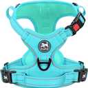 PoyPet No Pull Dog Harness, No Choke Reflective Dog Vest, Adjustable Pet Harnesses with Easy Control Padded Handle for Small Medium Large Dogs(Mint Blue Matching Trim,S)