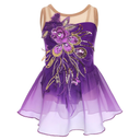 Ice Figure Skating Dress for Girls Sparkly Sequins Sheer Mesh Chiffon Ballet Dance Leotard Dress Ballerina Outfits, Size S