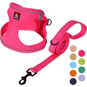 BELLA & PAL Step in Vest Harness for Small and Medium Dogs, No Pull Small Dog Harness with Leash Set, Comfortable Air Mesh Dog Vest Harness with Reflective Strip (Hot Pink, L)