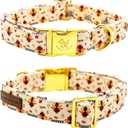 Elegant Little Tail Dog Collar with Thanksgiving Turkey Print, Flower Girl Boy Dog Collar for Large Dogs (Large (Pack of 1))