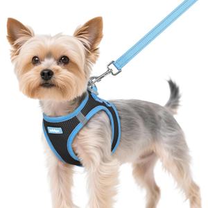 rabbitgoo Dog Harness Small Sized and Leash Set, Step-in Breathable Pet Harness, Soft Walking Reflective Puppy Vest for Small Dogs, Black & Light Blue, XS