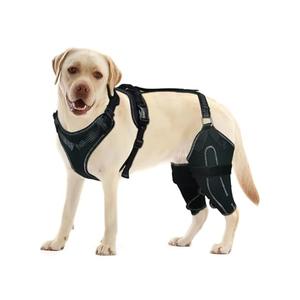 LISPOO Dog Knee Brace for Torn ACL/CCL Hind Leg,Adjustable Support with Sufficient Wrapping and Support & Luxating Patella,Non-Slip Joint Brace,Pain Relief&Better Recovery-Both Leg/L