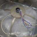 20 Inch Gold Caged Ceiling Fan with Light, Flower Chandelier Ceiling Fan with Lights Remote Control, Frower Crystal Fandelier 6 Speeds for Girl's Bedroom, Living Room