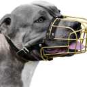 BRONZEDOG Pitbull Dog Muzzle Metal Mask Amstaff Wire Basket Pit Bull Adjustable Leather Straps for Large Dogs (Gold)