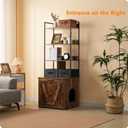 Dwanton Litter Box Enclosure with 3 Storage Shelves and 2 Drawers, 2-in-1 Hidden Cat Litter Box Enclosure Furniture with Shelf, Reversible Entrance, Washable Drawers, 61.8-Inch, Rustic Brown