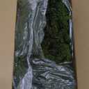 Preserved Reindeer Moss Natural Green DIY Kit Gardenning Art Wall Decor Florist Decor Easter Table Decor Wedding (0.85 lb)
