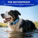 AirTag Dog Collar, IP68 Waterproof Air Tag Dog Collar Holder, Reflective, Ultra-Durable, Comfortable Padded, Heavy Duty Dog Collars for Small Medium Large Dogs-Blue-S